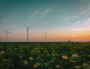 Wind Turbines scenic in a field