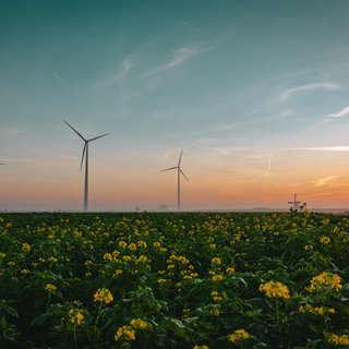 Wind Turbines scenic in a field