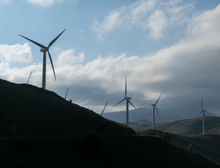 Electric Powerlines and Wind Turbines