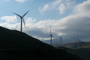 Electric Powerlines and Wind Turbines