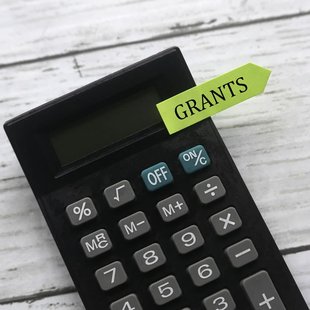 Calculator indicating Government Grants